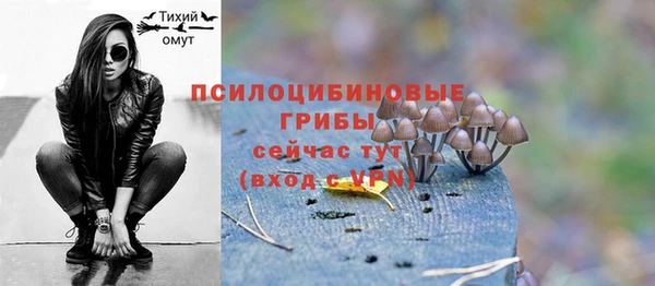 дурь Лабытнанги