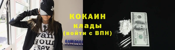 дурь Лабытнанги