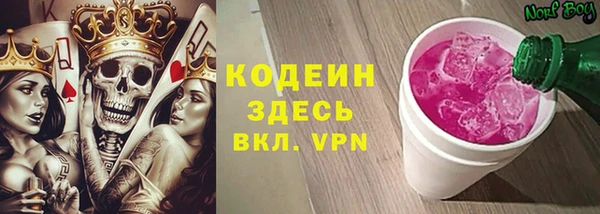 дурь Лабытнанги