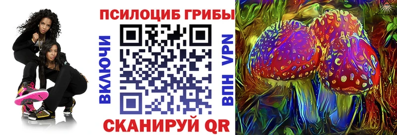Псилоцибиновые грибы Psilocybe  цены   Южно-Сахалинск 